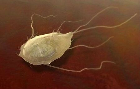 Τα Giardia είναι επίσης παράσιτα! 