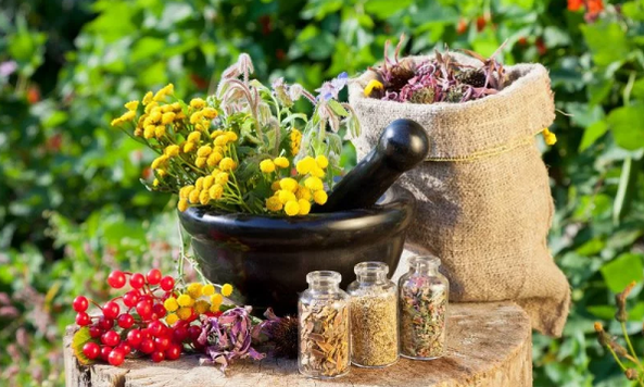 Βότανα από ελμινθικά