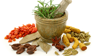 Μέθοδοι θεραπείας παρασίτων στο σώμα