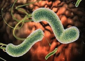 ιούς και βακτήρια